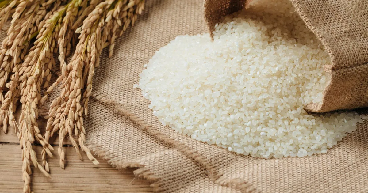 Instituto de Cereais de Moçambique conduz processo de importação de arroz e trigo