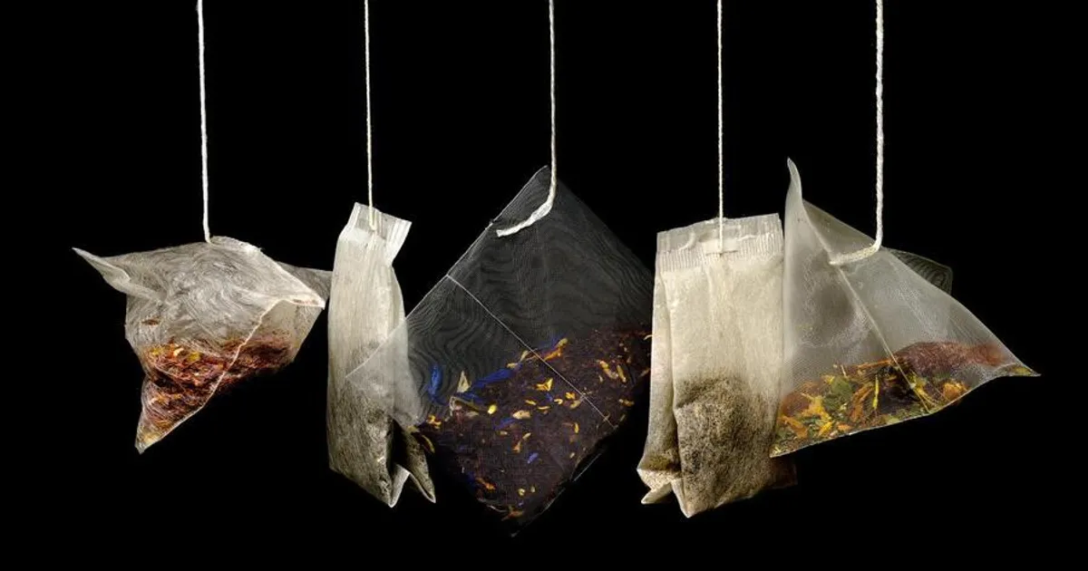 ‘Start-up’ Zence Object Holding transforma resíduos de chá em papel, embalagens e mobiliário