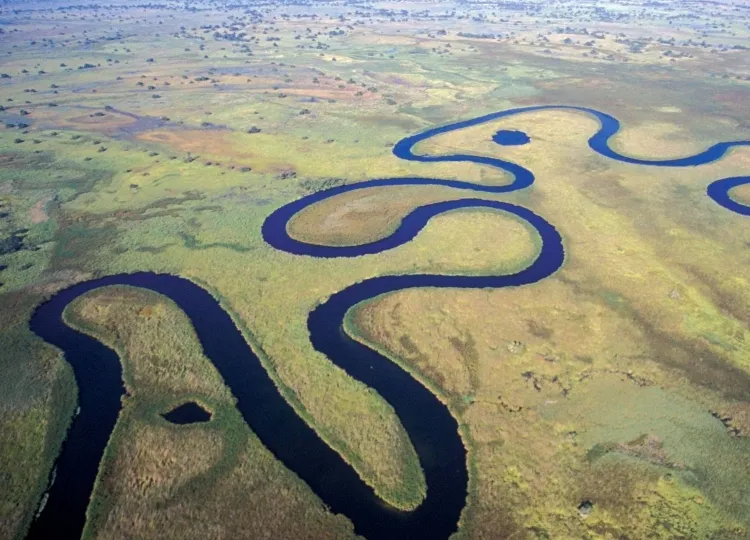 Angola aprova plano nacional para a biodiversidade para o período 2026-2030