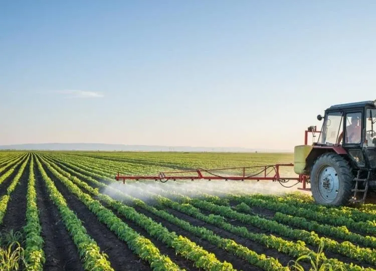 Moçambique prevê produção agrária global de cerca de 21 milhões toneladas