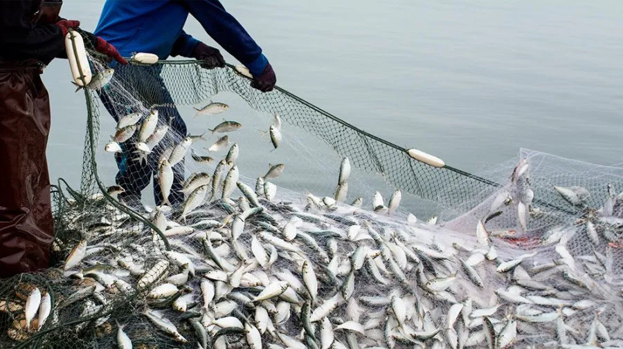 Moçambique cria centro para combater pesca ilegal e perdas bilionárias
