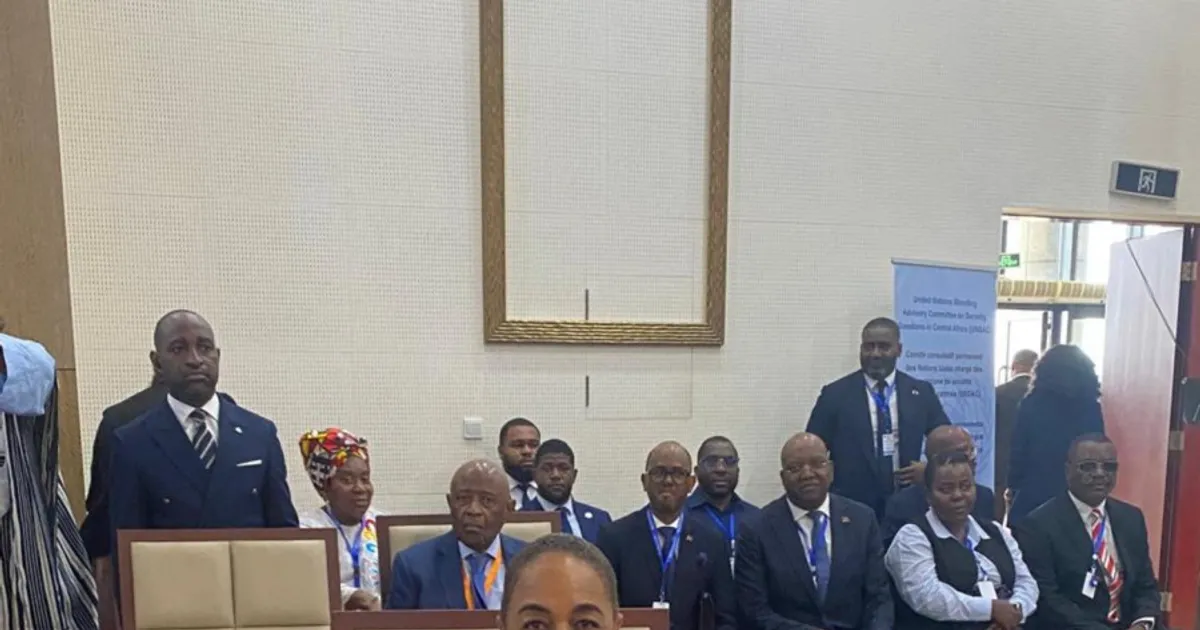 Angola apela mobilização de recursos para acudir situação humanitária na RDC