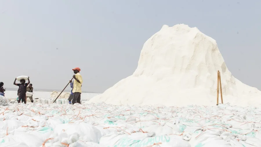Produtores de sal precisam de 12 mil Kg de iodo/ano
