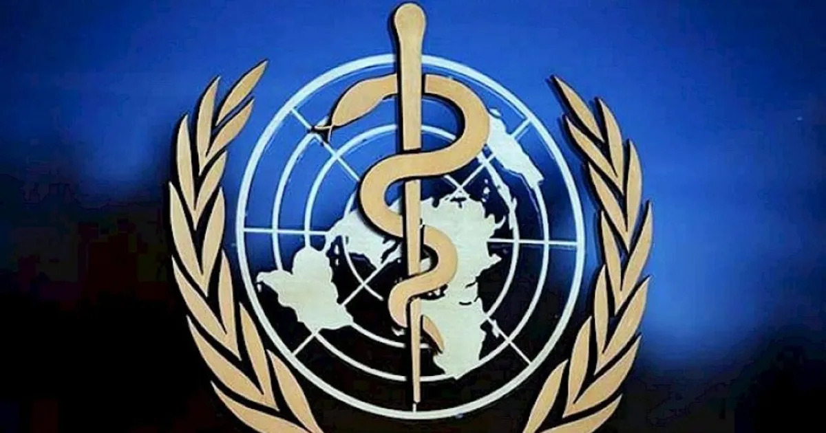 OMS apoia Angola na regulação de medicamentos
