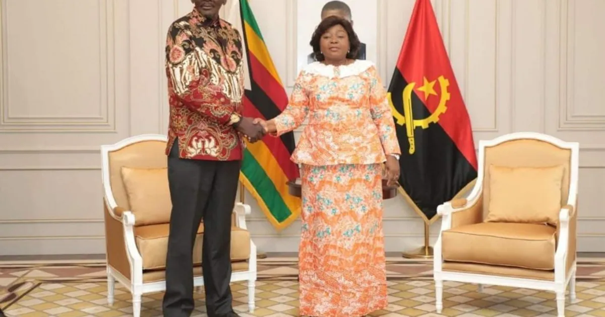 Vice-Presidente da República encontrou-se com homólogo do Zimbabwe