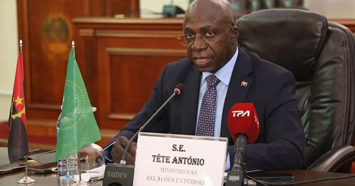 Angola defende implementação eficaz das decisões do Conselho Executivo da UA