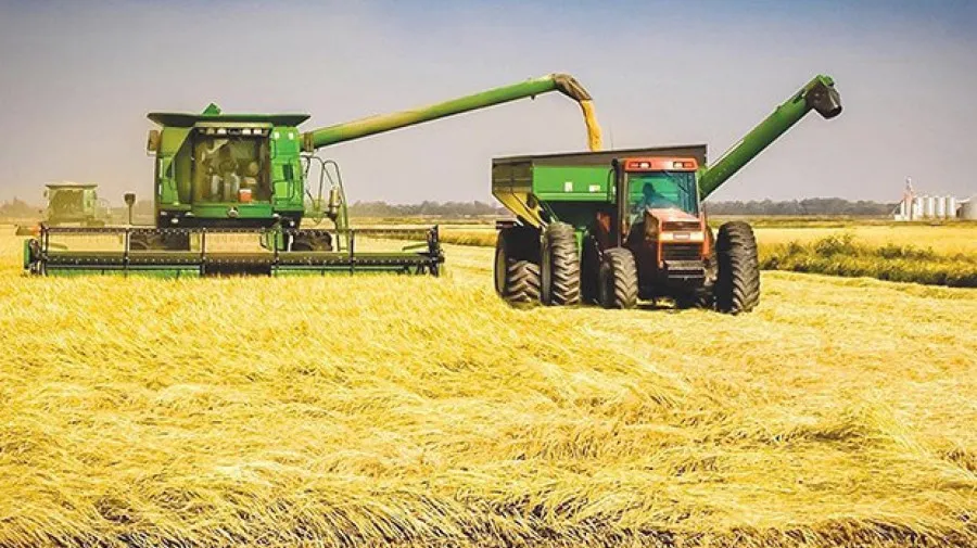 Governo lança projecto "AgriConnect" para acelerar diversificação económica