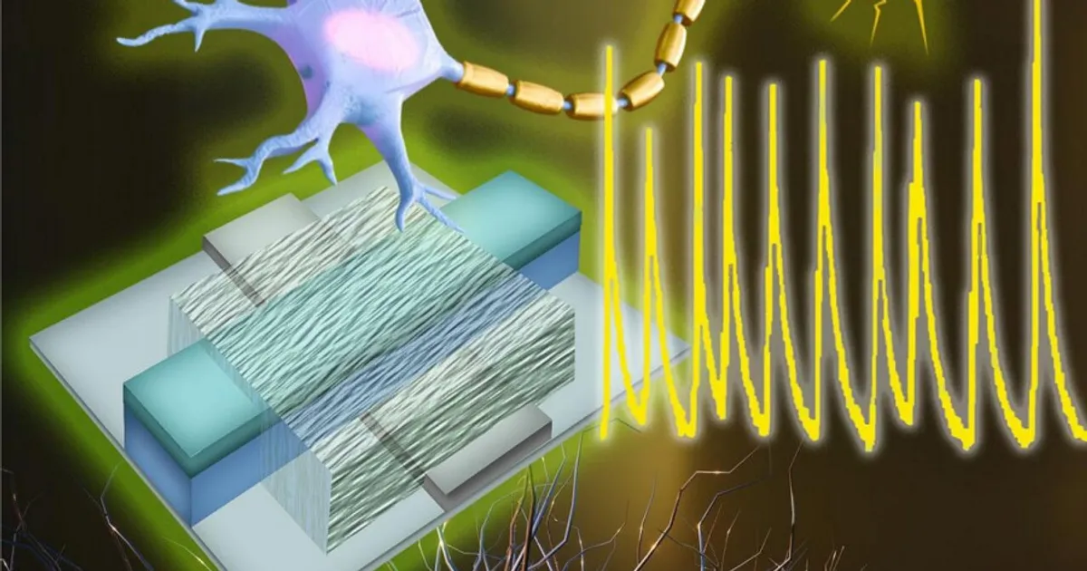 Novo neurónio artificial imita funções eléctricas do cérebro humano