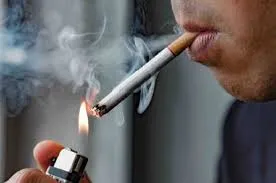 Mais de oito mil pessoas morrem por ano devido ao uso de tabaco