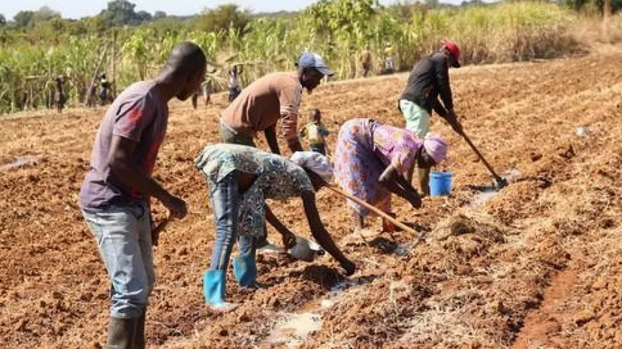 Lançado Projecto de Desenvolvimento Sustentável da Agricultura Familiar