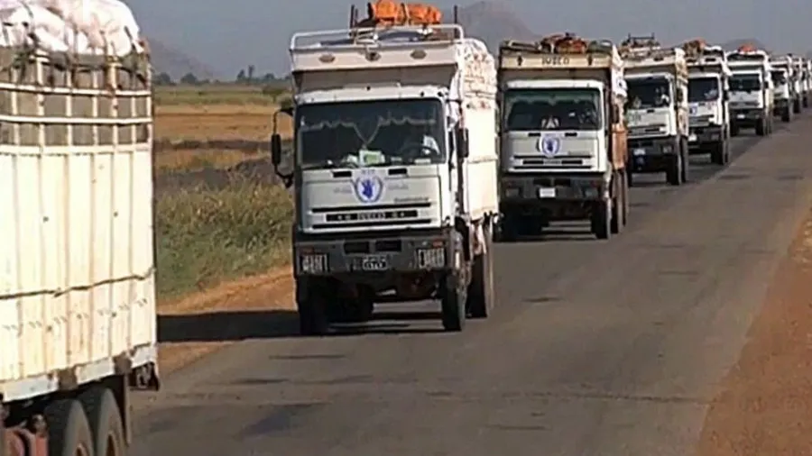 Ajuda da ONU para 130 mil pessoas chega ao estado sudanês do Kordofan do Sul