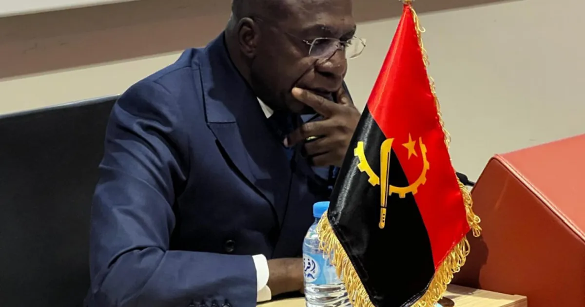 CEEAC considera frágil e volátil situação na RDC e República Centro Africana