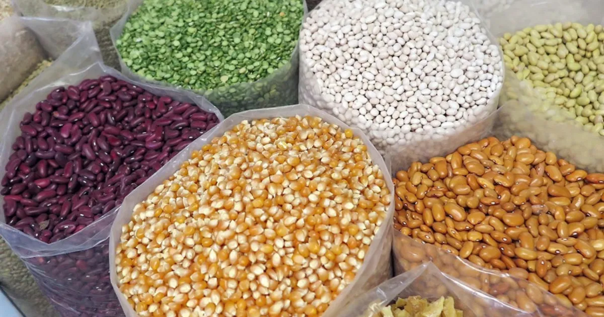 Ministro da agricultura assina memorandos para projectos agrícolas em larga escala