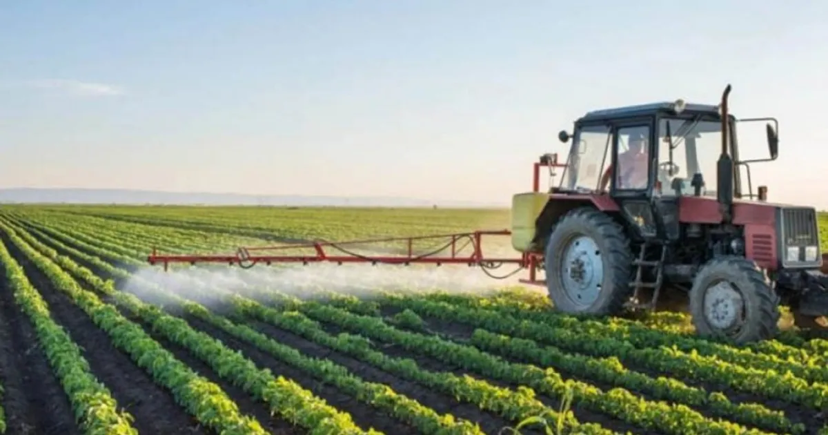 Município do Cuvango prevê colher 58 mil toneladas de produtos diversos