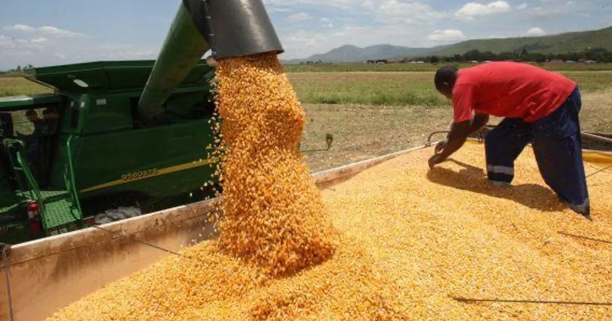 Angola terá novo pólo agrícola para produzir cereais e grãos
