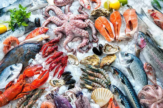 Angola participa de 5 a 8 de outubro na 27.ª Feira Internacional de Produtos do Mar em Vigo, Espanha