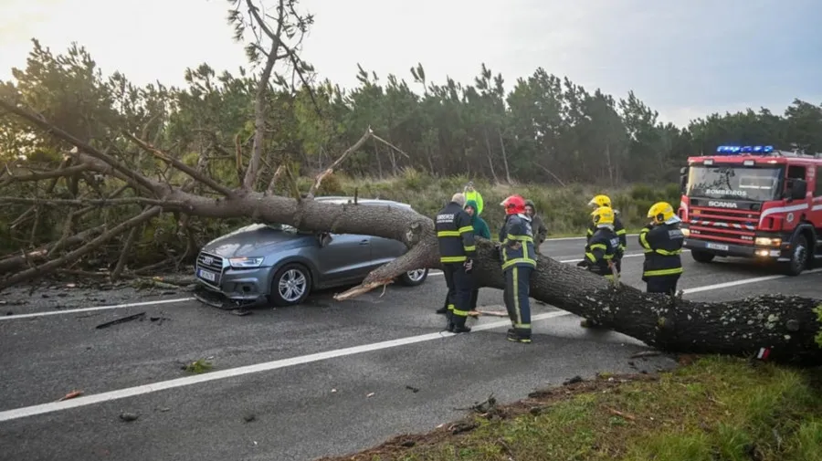 Mau tempo em Portugal deixa cerca de 485 mil residências sem energia