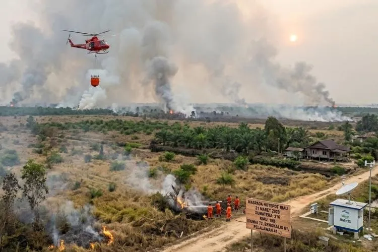 Incêndios florestais alastram em várias regiões da Indonésia