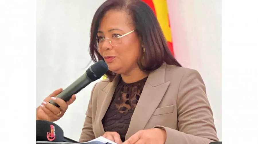 Defendida eliminação de tintas de chumbo no país