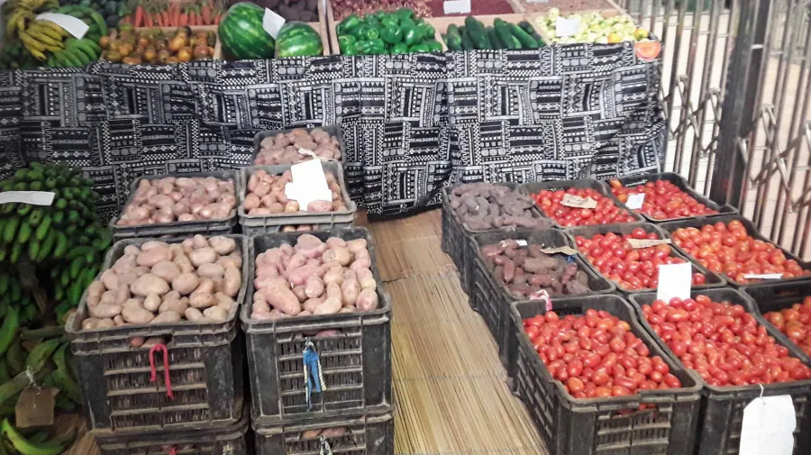 Três perímetros irrigados vão ser construídos no Bié