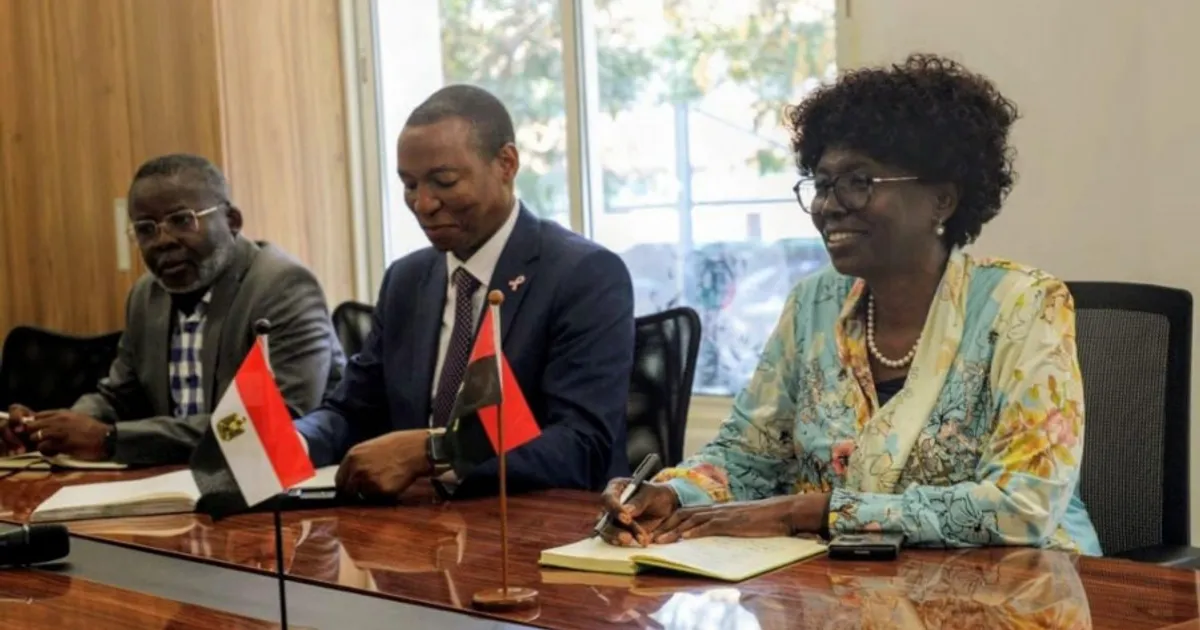 Angola e Egipto reforçam parceria estratégica no domínio da Saúde