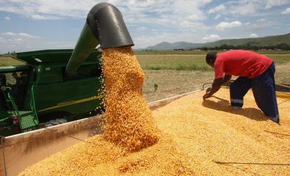 Governo reforça estratégia de produção alimentar em grande escala