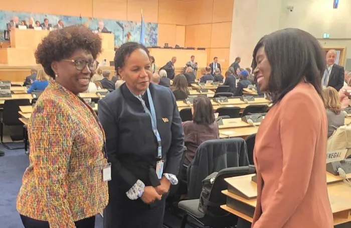 Angola participa na Assembleia Mundial da Saúde
