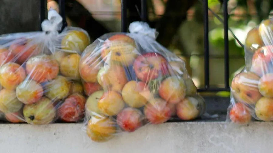 Governo proíbe importação, produção e comercialização de plásticos ultraleves