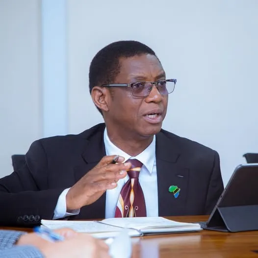 Tanzânia mantém um forte ritmo de crescimento no primeiro semestre