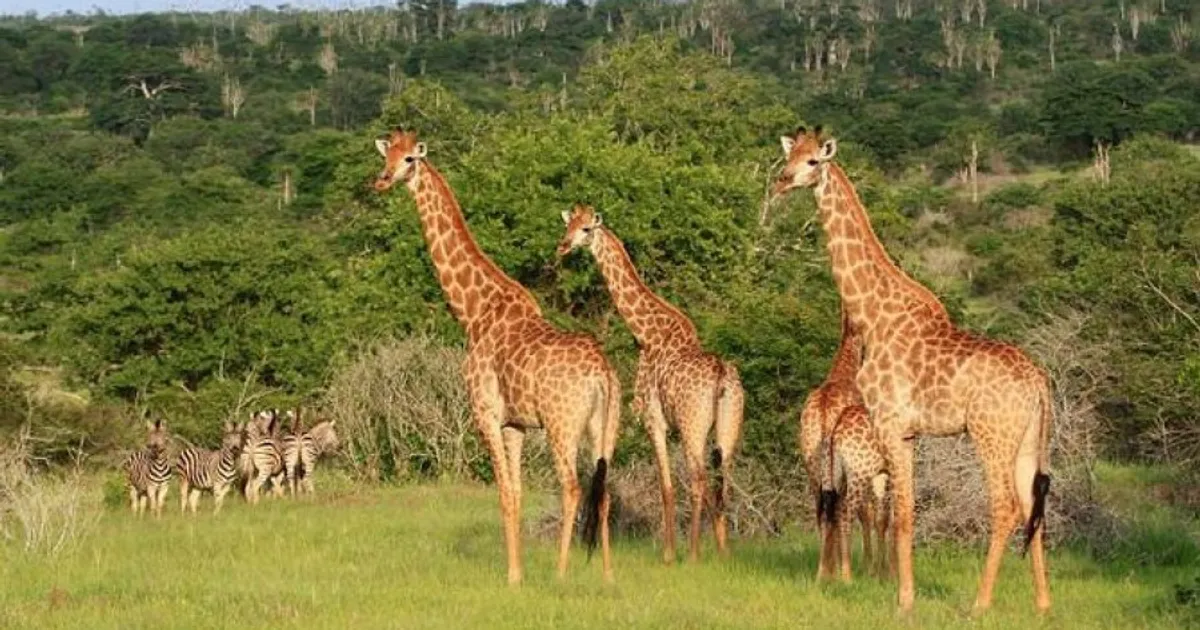 Angola lança projectos estratégicos para dinamizar turismo