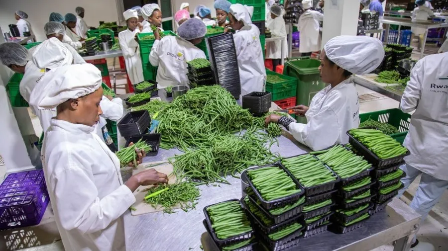 Rwanda exporta 972 toneladas de frutas e hortícolas em cinco dias