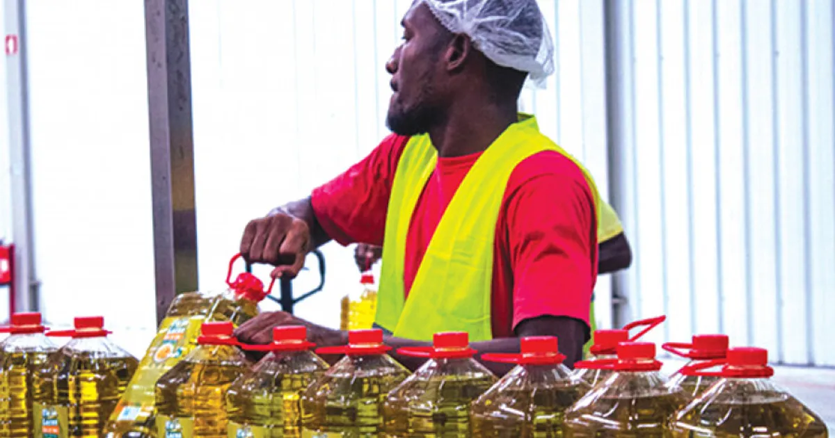 Angola terá fábrica de extracção para produção de óleo alimentar