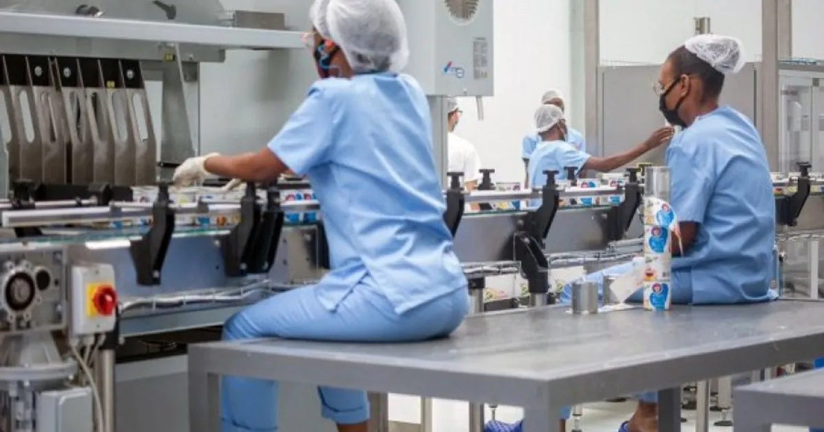 Angola regista mais 70 mil novos empregos entre Janeiro e Abril de 2025