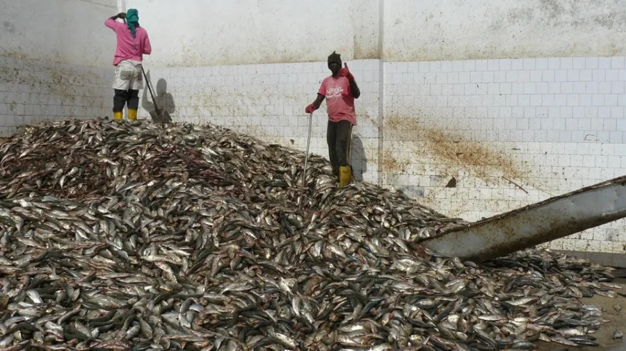 Senegal enfrenta preocupações sobre exploração dos recursos pesqueiros