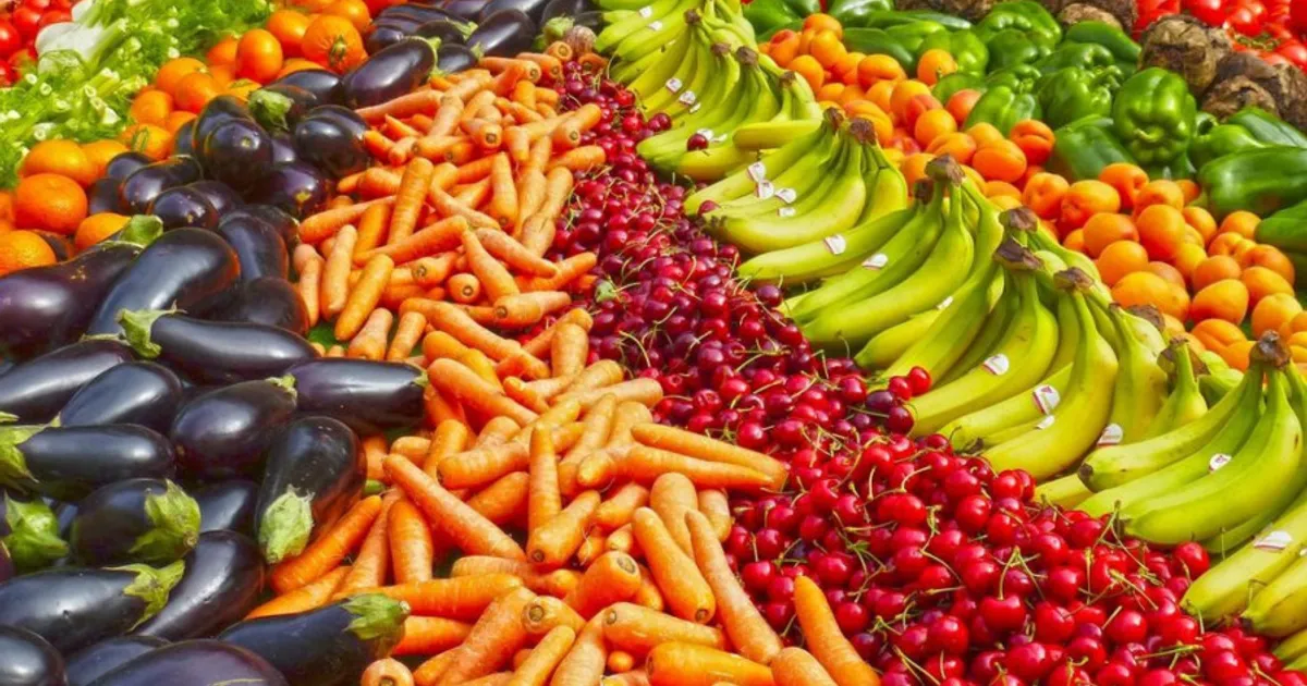 Ministro de Estado desafia empresas de máquinas agrícolas a investir no Leste de Angola