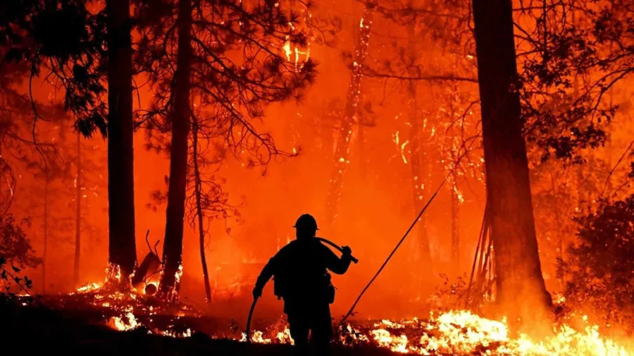 Incêndios florestais nos EUA obrigam à evacuação de quase 65 mil pessoas
