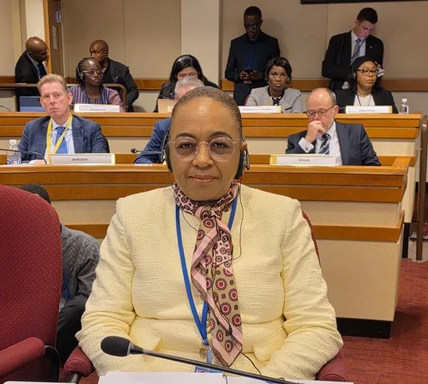 Esmeralda Mendonça participa em reunião da ONU sobre mulheres e paz e segurança