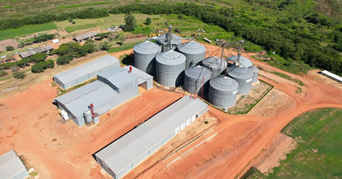 Assinado memorando para explorar plantação de citrinos