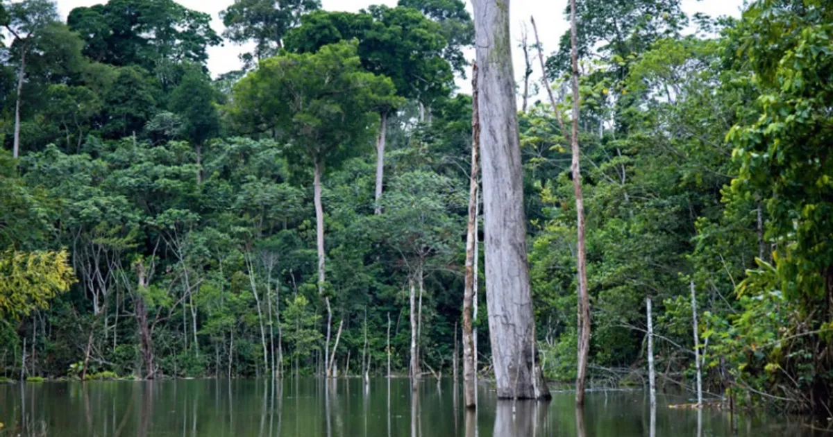 Plano de adaptação climática promove futuro sustentável e resiliente para Angola