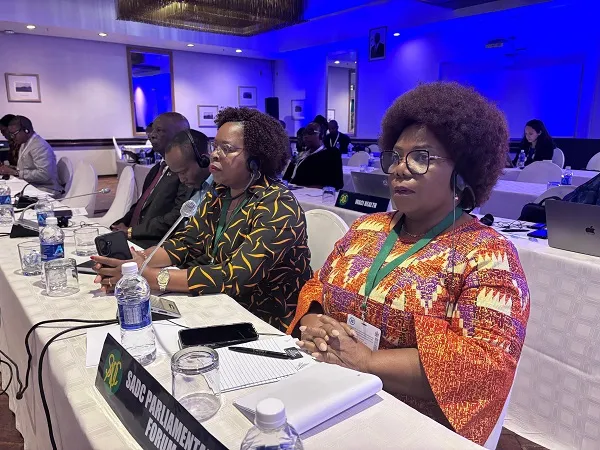 Parlamentares da SADC defendem articulação entre saúde e finanças