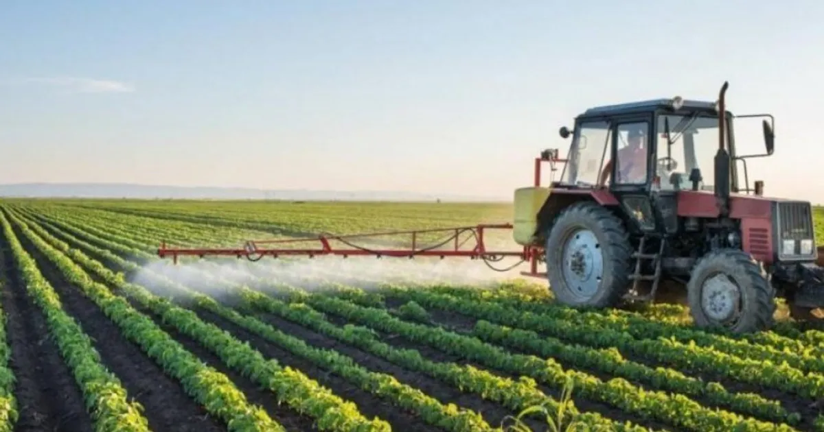 Angola aumentou produção agrícola na época 2024-2025