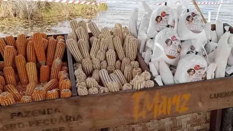 Moxico reafirma agricultura como motor do desenvolvimento económico