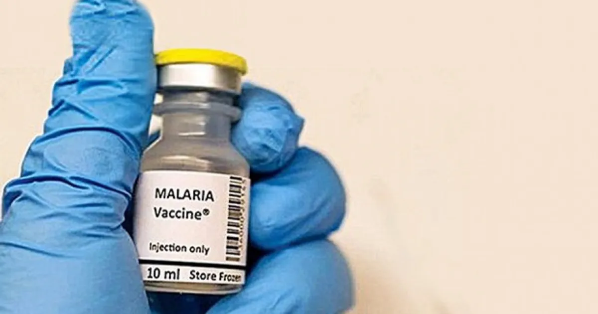 Angola introduz vacina contra malária em 2026