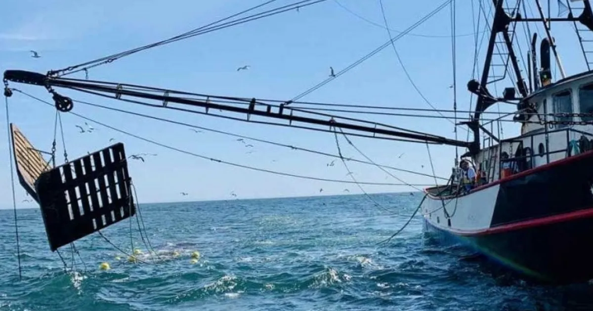 Moçambique perde 5 mil milhões de meticais por ano devido à pesca ilegal
