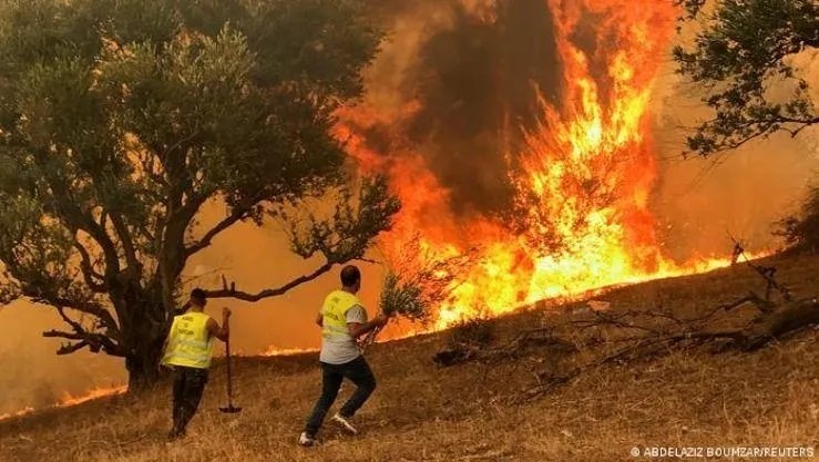 Incêndios florestais na Argélia provocam 12 mortos e 54 feridos