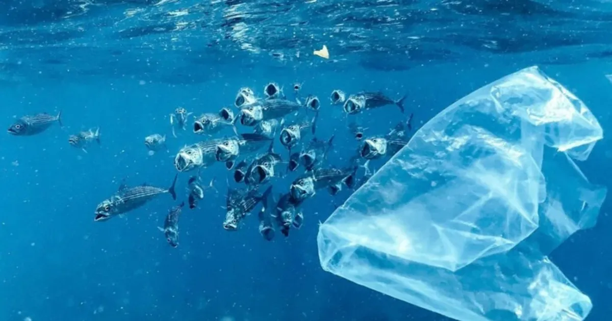 Cientistas japoneses criam plástico que se dissolve na água do Mar