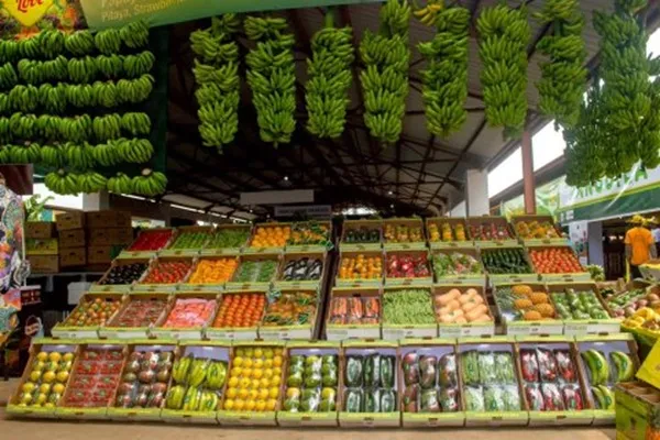 Feira da banana impulsiona parcerias para produção de fertilizantes