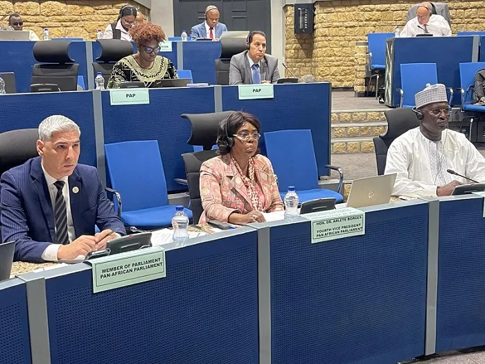 Deputada angolana participa em reunião sobre paz e segurança em África
