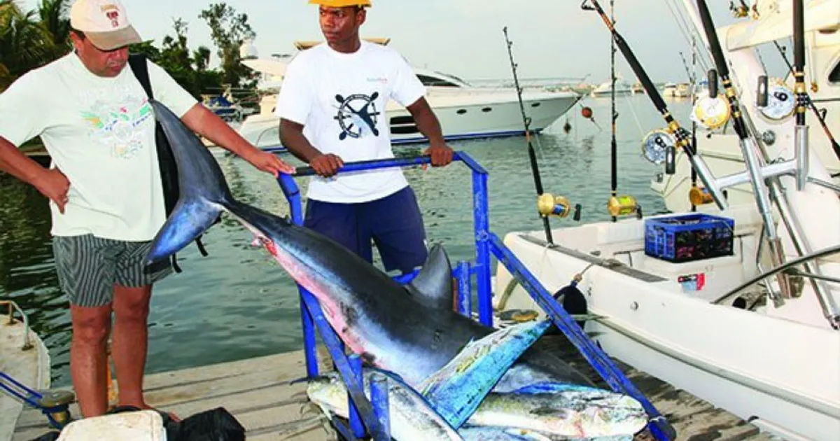 Pesca desportiva: Torneio internacional no Cuvango