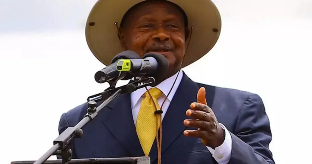 Investimento chinês impulsiona transformação industrial na Uganda